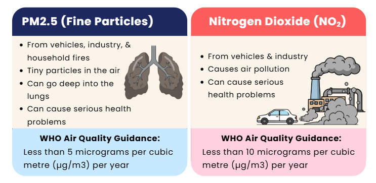 WHO particle info fig