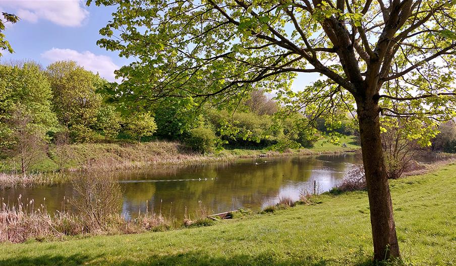 Rowley Regis