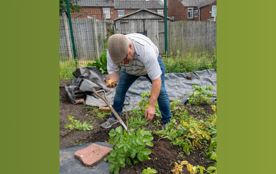 Man working on garden
