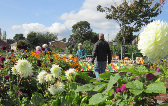 Image of new garden