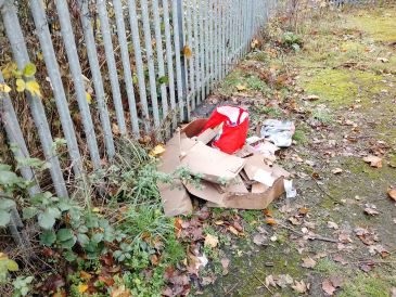 Fly-tipped rubbish on grass edging