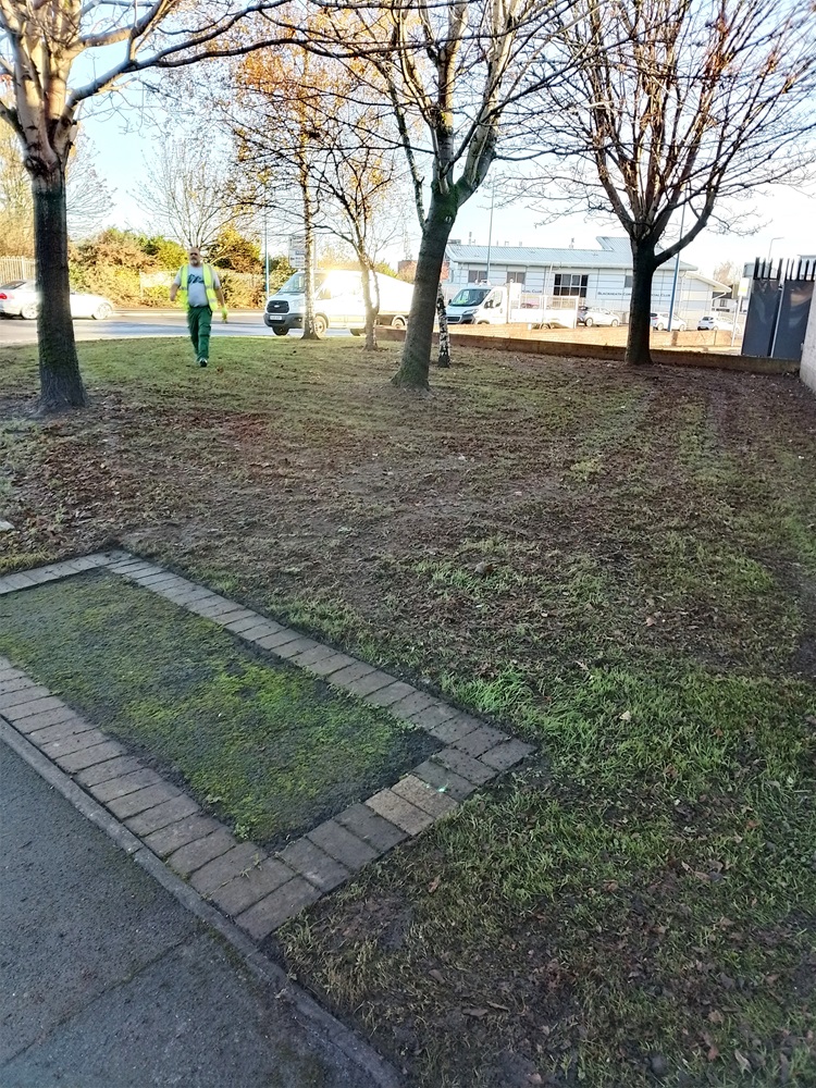 Green clean-up in Blackheath