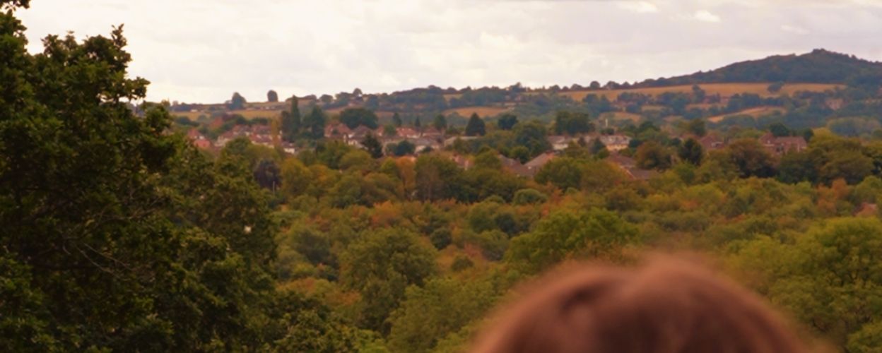 Image of a hillside in Sandwell lined with trees