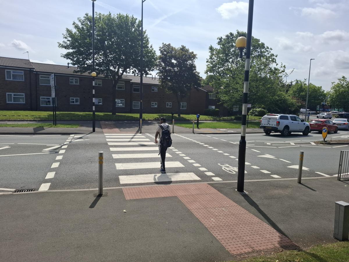Example of a tiger crossing