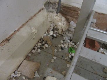 Hole in internal wall where rats can enter building