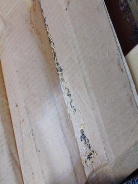Mouse droppings in rice inside cardboard box storage