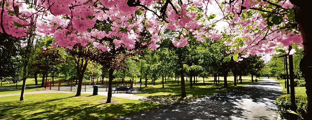 Sandwell Park image