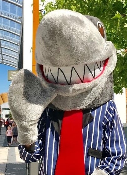 Sid the Shark