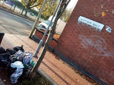 Bags of waste dumped on street corner