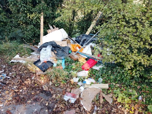 Rowley Regis resident was prosecuted after failing to ensure her household waste was passed to an authorised waste carrier, following a fly‑tipping incident in West Bromwich